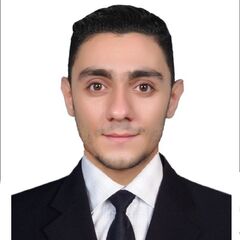 Mousa Mohamad, senior sales executive