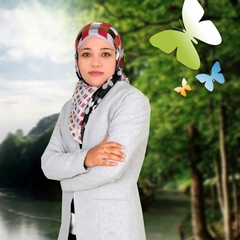 أمينة أحمد, باحثة قانونية