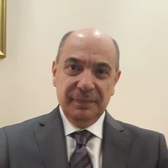 Youssef Hayek, General Manager / CFO 