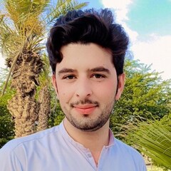 usman khan undefined, Website developer 