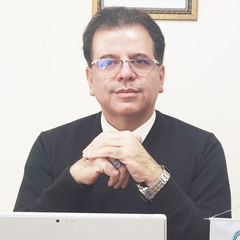 Ahmad Rahmani, Owner CEO