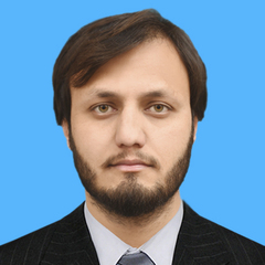 Muhammad Mustafa, Finance Executive