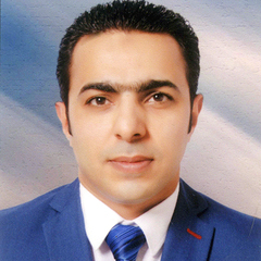 Mohamed Arafa, Administrative Supervisor