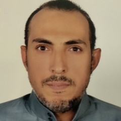 Saadawi Mahmoud Hassan 