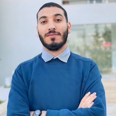 Nassim Fatnassi Hnifi