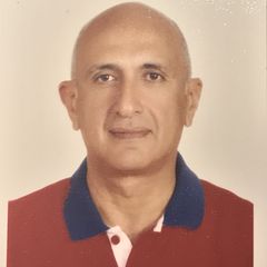 essam ramzi