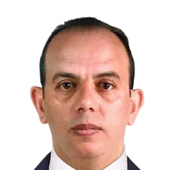 Mahmoud  Abdel Fattah 