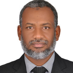 Mohammed Osman Ali SaidAhmed, Project Manager