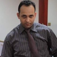Hussein Abdelal, Team Leader