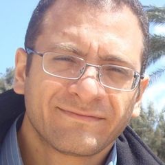 Abdelmuhaimen Seaudi, Head of B2B Domain