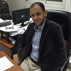 احمد عبدالعدل اسماعيل, محاسب أول