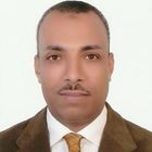 Omar Salah Abdel Rady Aly, Contractor