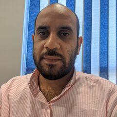 Mohamed Husien, SAP ERP Project Manager