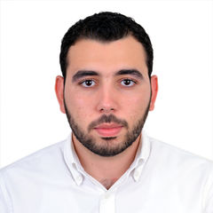 Islam mohamed harb, Business Systems Analyst