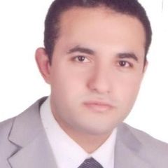 إبراهيم عبد الغني, data analysis expert
