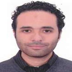 ياسر moukhtar, Senior Software Developer