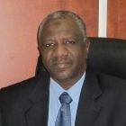 Mohamed Elsadig Ahmed Elmahi, Project Manager
