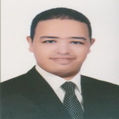 كريم وحيد, collections representative