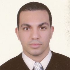 محمود ابو العلا, accountant