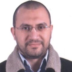 تامر سامى احمد محمد حجاب, HR Manager