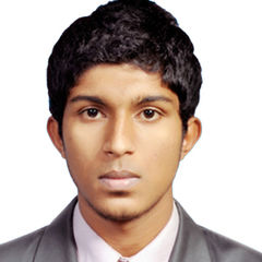 هشام محمد, Accountant