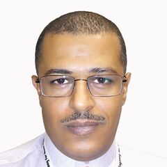 Walid Al-Amoudi, Sales Manager