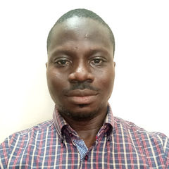 Emmanuel Olaleye, Regional Sales Manager