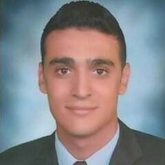 Amr Aref, Accountant