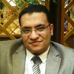 Ashraf Negm, مدير التسويق و المبيعات 