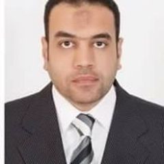 Ahmed Tohami, مدير الحسابات
