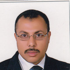تامر حسين عبد المنعم حسين رستم, Deputy Director