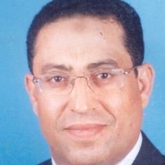 أحمد غنيم, HSE Manager