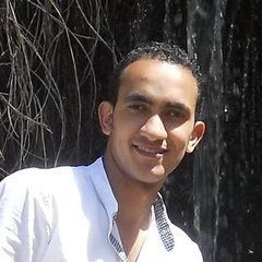 محمد عبد الجواد, Engineering Geologist