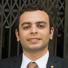 Ahmed Wassef, Soultion developer