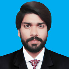 Salman Muneer, Sr. UI/UX Designer
