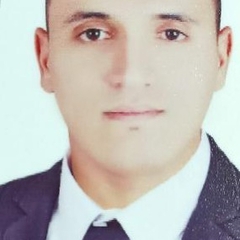 Mostafa Fahmy