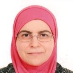 مريم حنينه, Business Partner/HR consultant