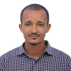 Bereket Ayele Woldemariam