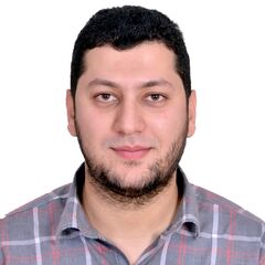 Mostafa Mahmoud Hanafy FMVA Mohamed, Financial Controller