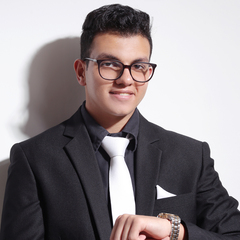 Hashem Ismail - Junior External Auditor - Bayt.com People