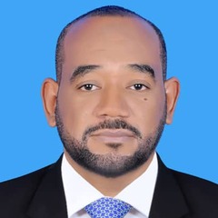 Mohamed Mahgoub, Enterprise Computing Senior