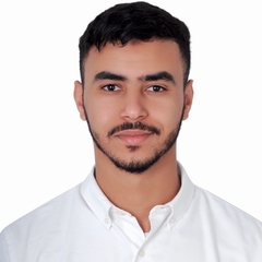 صلاح الدين الحايكي, sales and service executive