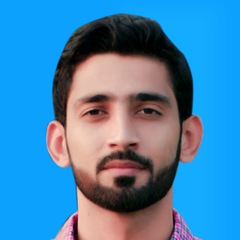 Muhammad Ansar Saleem