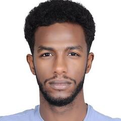 Ahmed Mohamed Mohamed