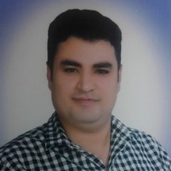 محمد عطية, Business Analyst