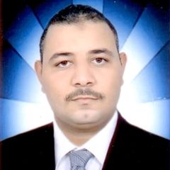 Amr Mohamed Abd El Hamed, مدير مسئولى المعلومات