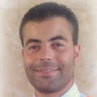 محمد سعيد Allali, Logistic Analyst