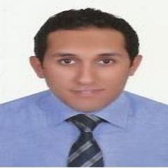 محمد محمود حسن محمد عبد المطلب عامورى amori, cost controller