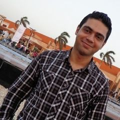 محمد ناصر محمد حسن المحلاوى, Customer Experience Team Manager