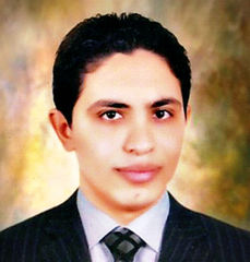 Mohammed Hamid Helmy Allam, مهندس كهرباء